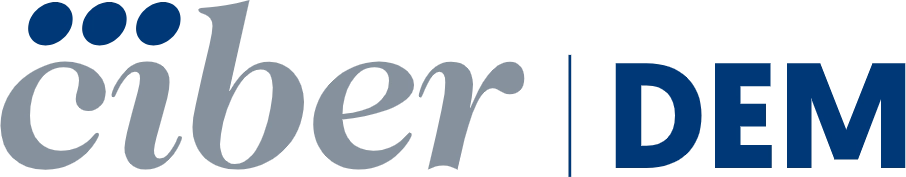 CiberDEM logo