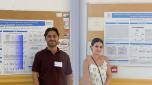 MASLD From novel liver model systems to organelle pathophysiology