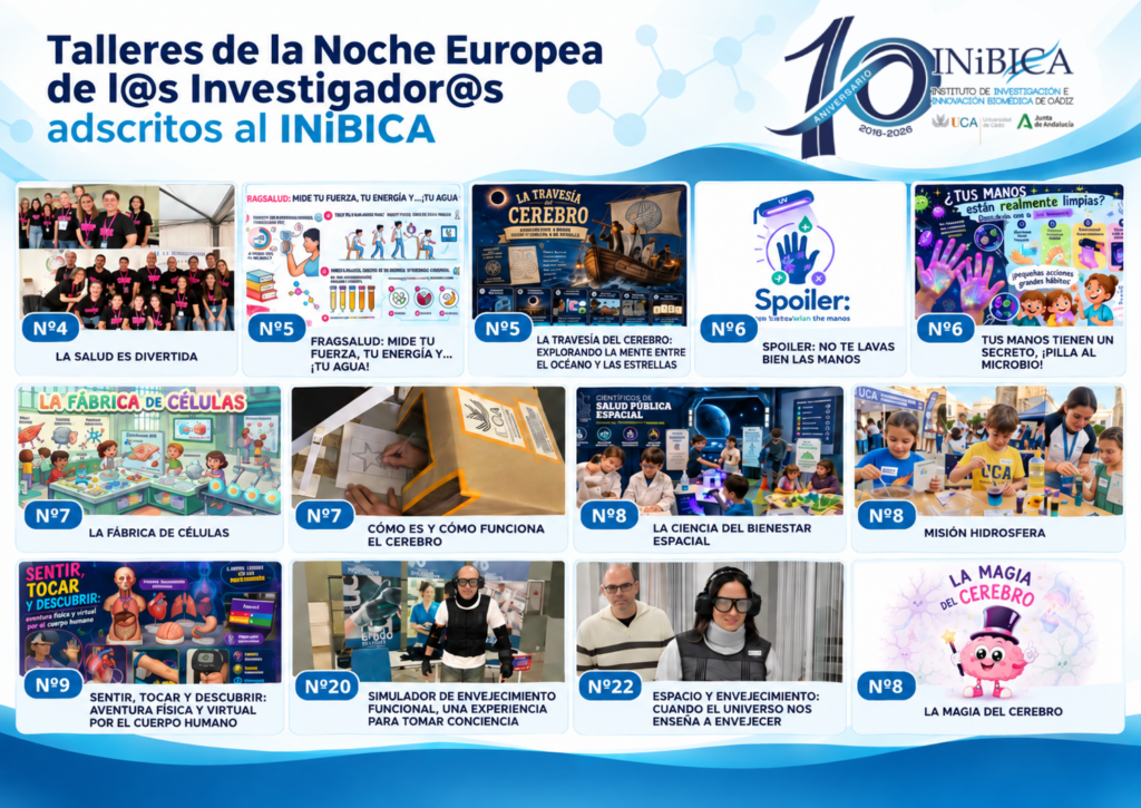 Talleres INiBICA en la Noche Europea de los Investigador@s 2026